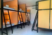 Green Dale’s Travellers Inn Puerto Princesa - สวนน้ำ