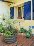 Cocoon in the Heart of Prades