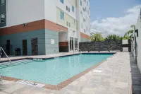 Hilton Garden Inn Tampa Suncoast Parkway - Rooftop Pools