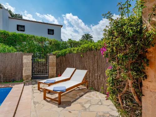 Cofitsa Plus - 4-Star