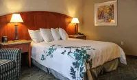 Wingate by Wyndham Elkins Hotel a Randolph County