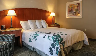 Wingate by Wyndham Elkins Các khách sạn ở Elkins