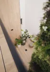 Azure Homes