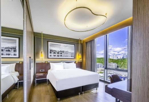 Radisson Collection Hotel Vadistanbul Hotel Overview