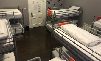 Albatross Hostel