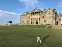 No12 Bed and Breakfast, St Andrews