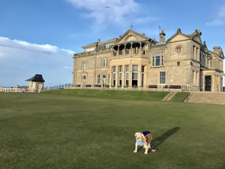 No12 Bed and Breakfast, St Andrews Отели рядом с достопримечательностью «Кафедральный собор Сент-Эндрюс»