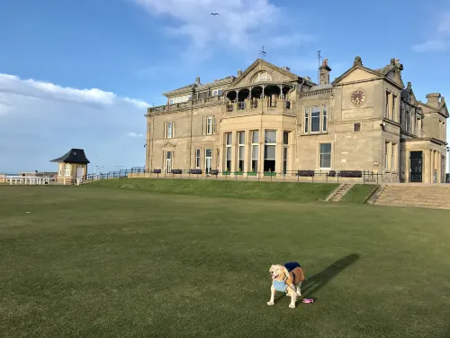 No12 Bed and Breakfast, St Andrews