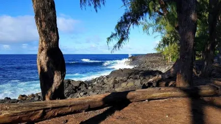 Ferns & Frogs Forest Hale 3 Bedroom Home by RedAwning