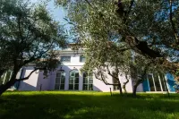 Aneli Villas - Villa Alexandra - Villas
