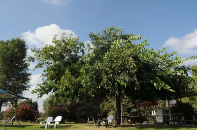 Mandara - Country Lodging Hotels in 