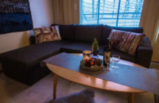 Lomavekarit Apartments - Хоумстей