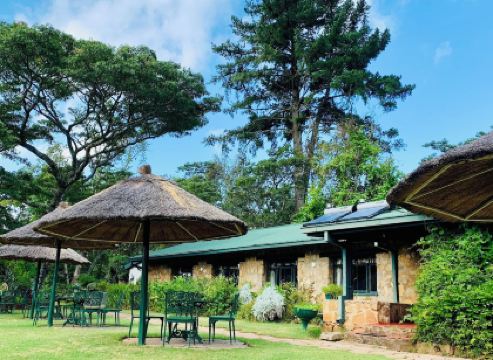 Pinetree Inn Hotel