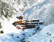 Ayder Elizan Dağ Evleri Hotel di 