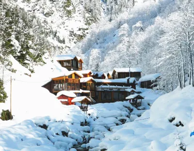 Ayder Elizan Dağ Evleri Hotel di 