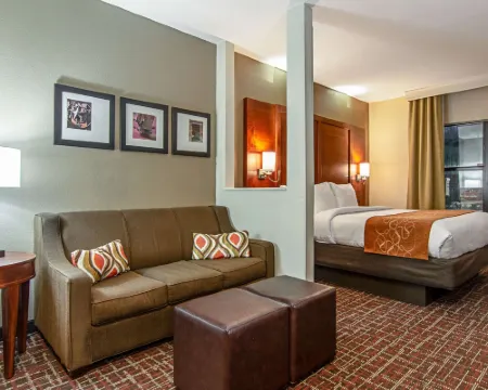 Comfort Suites NW Dallas Near Love Field Hotels in Dallas