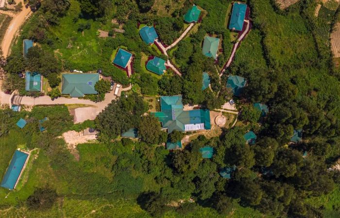 Gorilla Safari Lodge