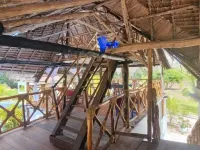 Mafia Fabu Lodge Hotels in Mafia