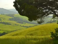 Getaway Amidst Vineyards - Pet friendly