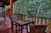 Narrows Escape Rainforest Retreat Hotels in North Maleny
