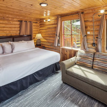 Denali Crow's Nest Cabins