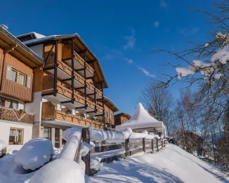 Ferienalm Panorama Apartments Hotels in Schladming