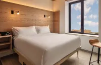 라디오 호텔 뉴욕 보태니컬 가든 주변 호텔