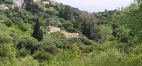 Diamoni Afroditi