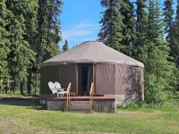 Avens Alaska