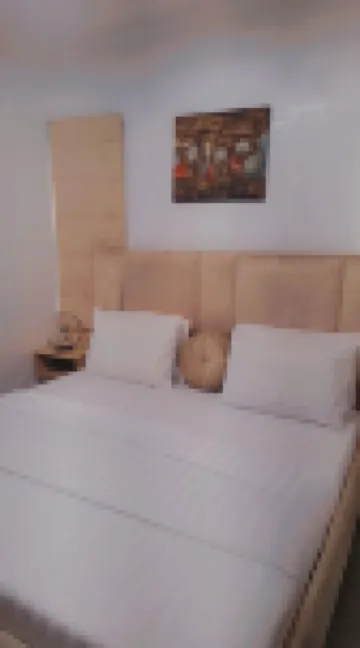 Zek Dynasty - Bed and breakfasts
