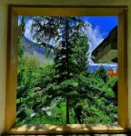 Hikk Inn