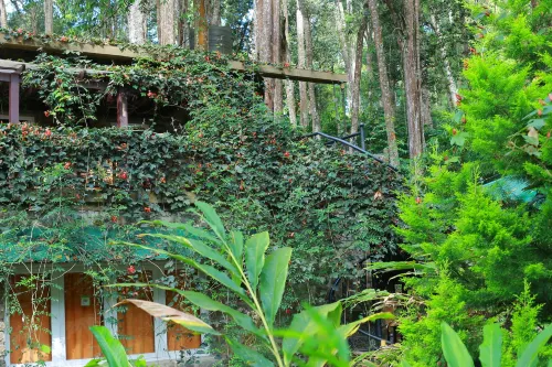 Green Spaces Munnar Hotels in Pallivasal