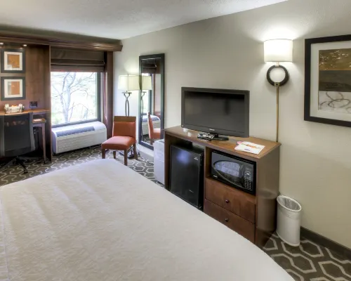 Hampton Inn Tampa-Airport/Westshore Hotels in Tampa