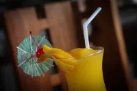科隆索萊由花園度假村 - 酒吧
