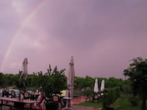 Agriturismo la Prosciutta Hotels in Faenza