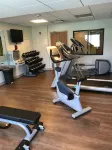 Holiday Inn Express & Suites ROCHESTER-VICTOR by IHG - Gym