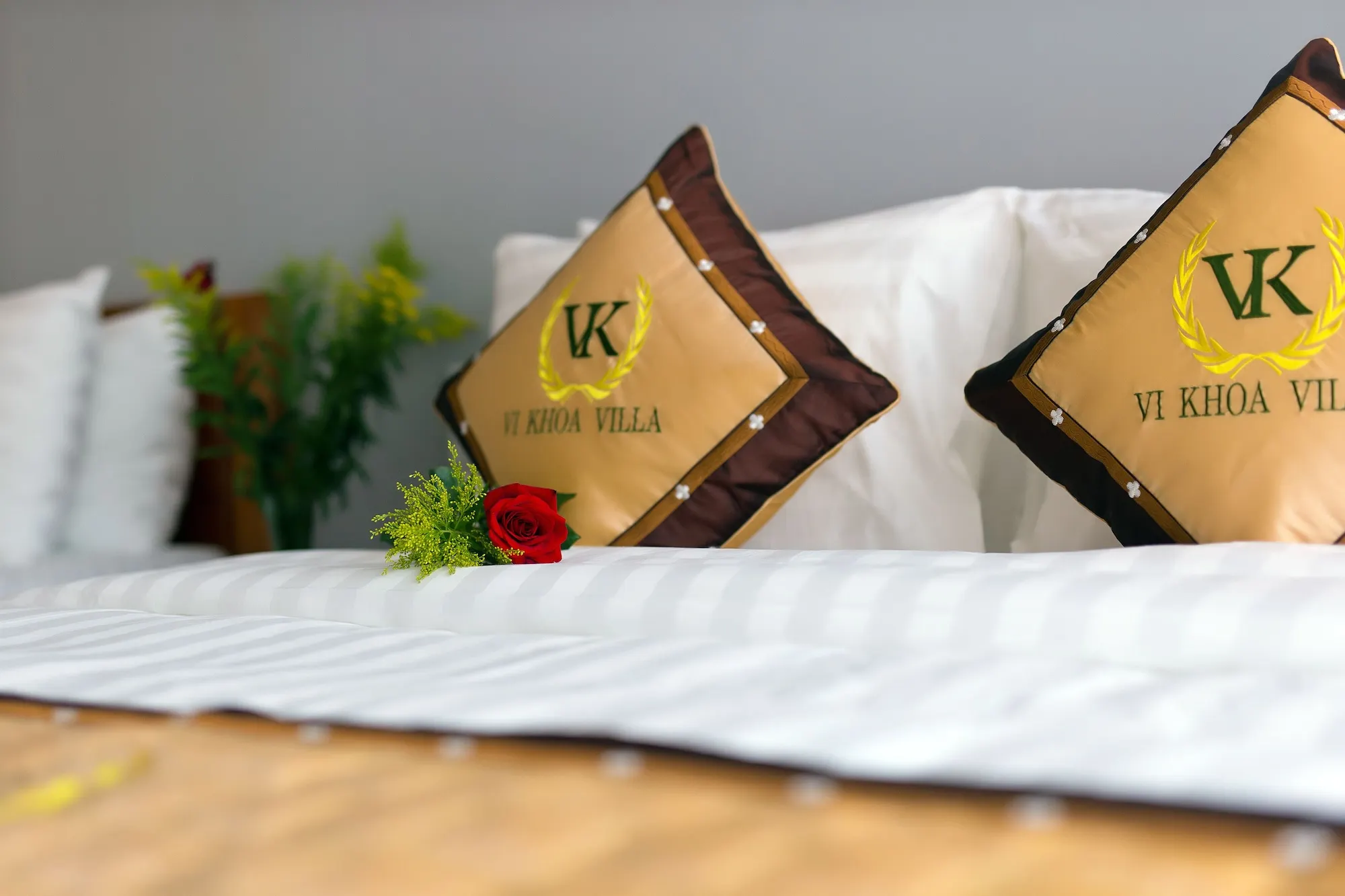 Hoi An VI Khoa Villa Rooms Photos