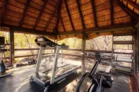 Nyati Safari Lodge - Gym