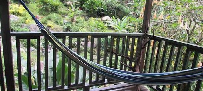 RafJam Bed & Breakfast Отели в г. Кингстон