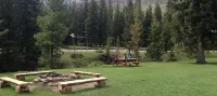 Grizzly Lodge - parking