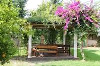 Irem Garden Hotel & Apartments