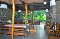 Jungle House
