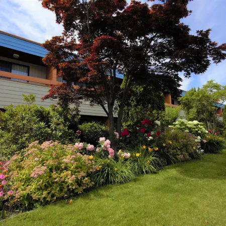 Recreation Inn and Suites