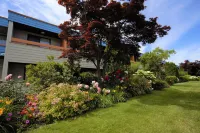 Recreation Inn and Suites - pet friendly