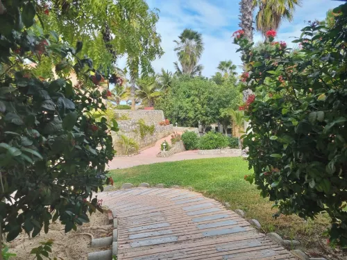 Buena Vista Oceanfront & Hot Springs Resort Hotels in Buena Vista