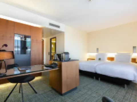 プルマン アイントホーヴェン コカーニュ アイントホーフェンのホテル