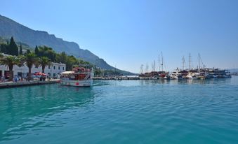 Apartments Luxury View