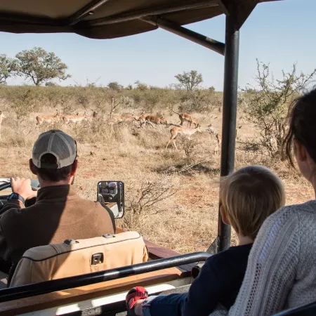 Rockfig Lodge Madikwe