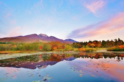 ホテル周辺 旅館 おかやまの写真