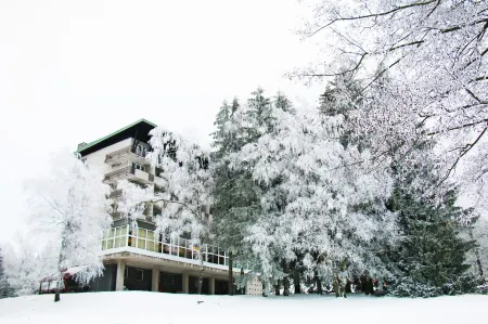 Hotel Medlov Depandance Отели в г. Свратка